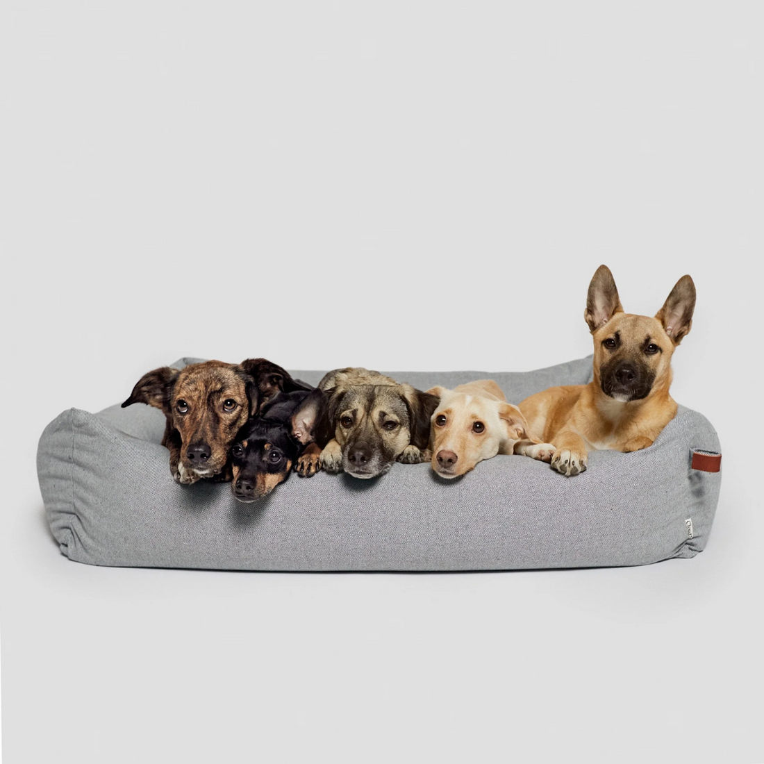 Cloud7 Sleepy Deluxe // Exklusives Hundebett aus Bouclé-Wolle (Tweedgrau)