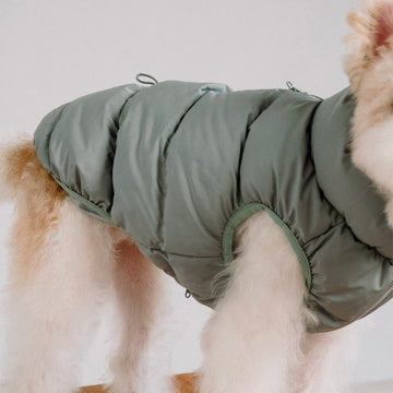 Cushycushy Vest // Hundejacke die nicht über den Kopf muss (Eisberggrün) Größe 2