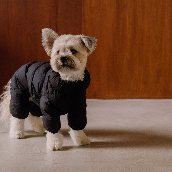 Cushycushy Onesie // Overall der nicht über den Kopf muss (reines Schwarz) Größe 2