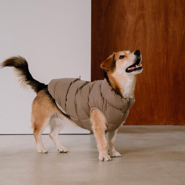 Cushycushy Vest // Hundejacke die nicht über den Kopf geht (mokka)