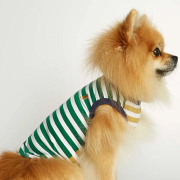 Daniel Bodysuit // Hundepullover aus Bio-Baumwolle (Dijon/Grün) XS