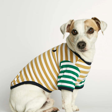 David T-Shirt // Hundeshirt mit Ärmeln aus Bio-Baumwolle (Dijon/Grün)