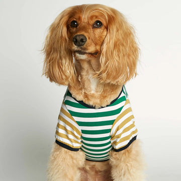 David T-Shirt // Hundeshirt mit Ärmeln aus Bio-Baumwolle (Grün/Dijon)