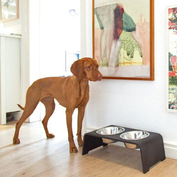 dogBar, Stahlnäpfe // Futter- und Wassernapfständer (dunkle Eiche)