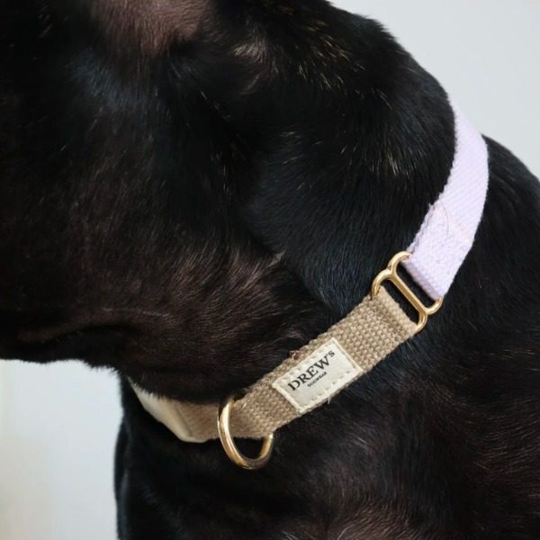 Drew's Dogwear Lavender // Verstellbares Halsband (lila/beige)