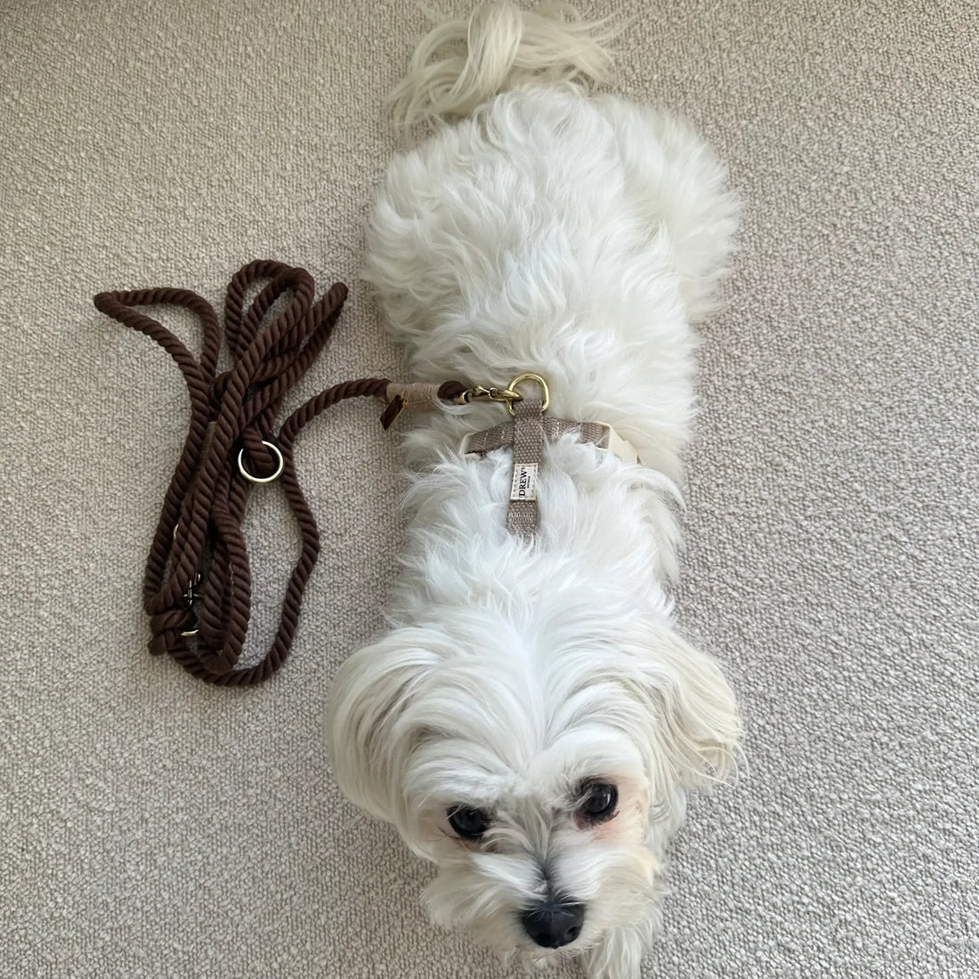 Drew's Dogwear Brown // Verstellbare und weiche Seilleine (dunkelbraun)