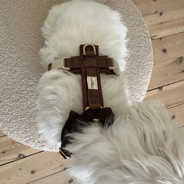 Drew's Dogwear Chocolate Pro // Verstellbares Y-Geschirr (Dunkelbraun)