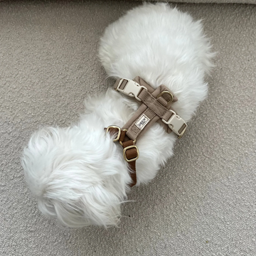 Drew's Dogwear Cortado Pro // Verstellbares Y-Geschirr (braun/beige)