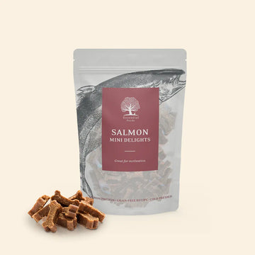 Essential Salmon Mini Delights // Weiche Trainingsleckerlis (Lachs)