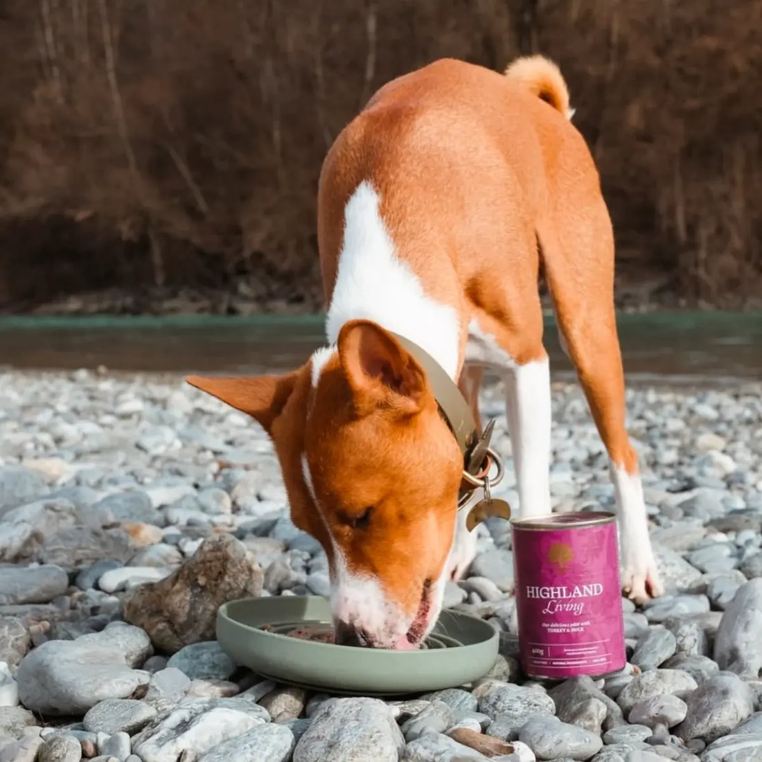 Essential Highland Living Paté // Nassfutter mit Truthahn und Ente (400 g)