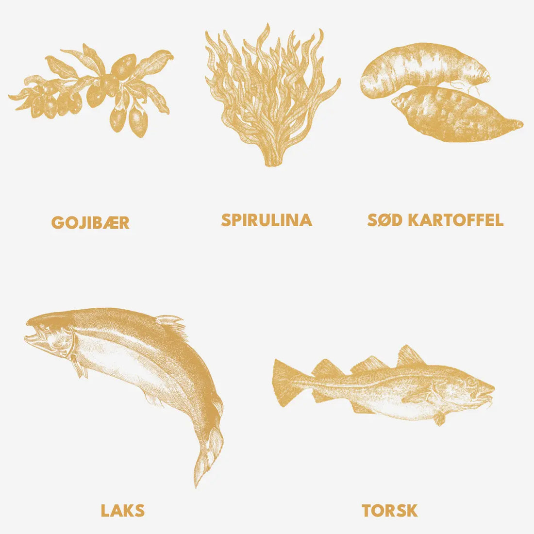 Essential Nautical Living Paté // Nassfutter mit Lachs und Kabeljau (400 g)
