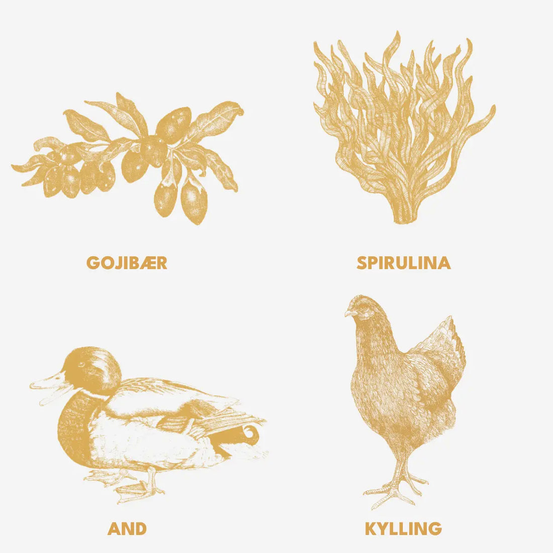 Essential Older Paté // Nassfutter für Seniorhunde (400 g)