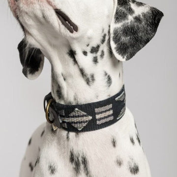 Buddys Dogwear Etna Black // Breites und leichtes Halsband (schwarz) XL