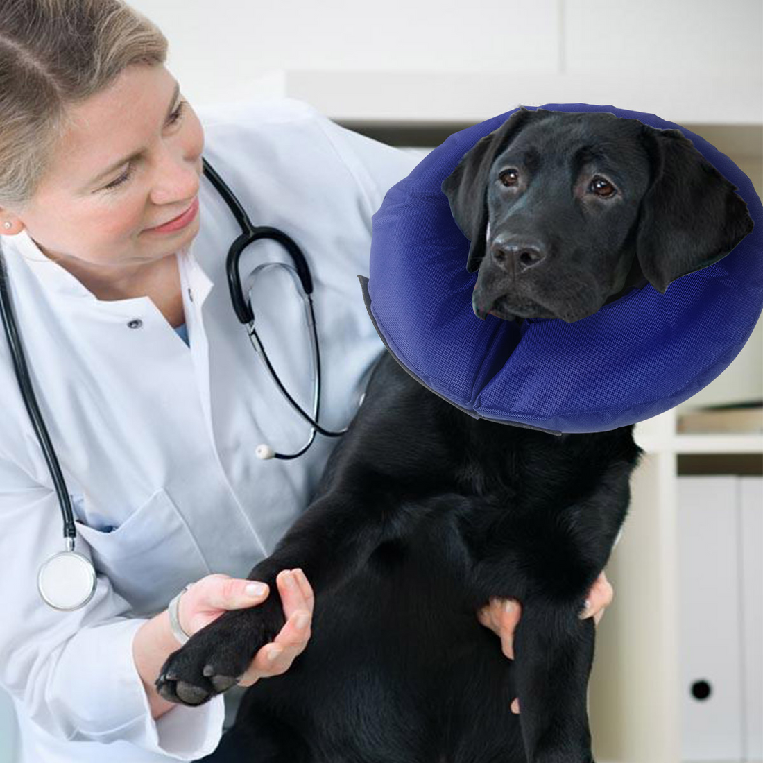 FionaVet // Aufblasbares Nylonhalsband (mehrere Größen)