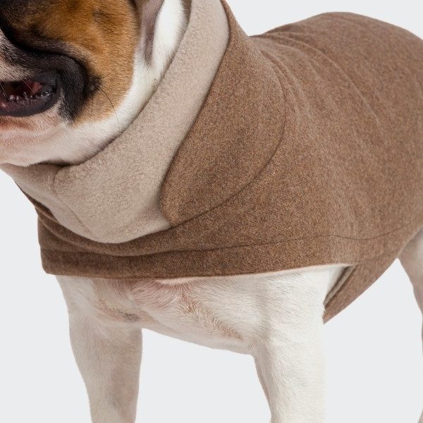 Cloud7 Brooklyn, Französische Bulldogge // Warme und wasserabweisende Hundedecke aus Wolle (Haselnuss) Größe 4