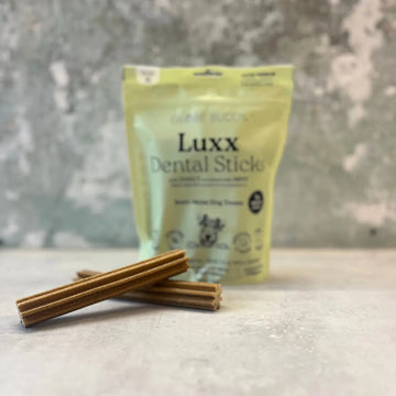 Globe Buddy Luxx // Dental Sticks mit Insektenprotein und Minze