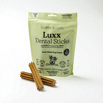Globe Buddy Luxx // Dental Sticks mit Insektenprotein und Minze
