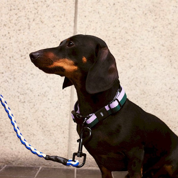 HAY Dogs Braided // Geflochtene Hundeleine aus recyceltem Nylon (blau/weiß)