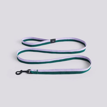 HAY Dogs Flat // Klassische Hundeleine aus recyceltem Nylon (Lavendel/Grün)