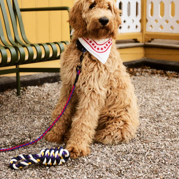 HAY Dogs Scarf // Hundehalstuch aus Baumwolle (weiß/rot)