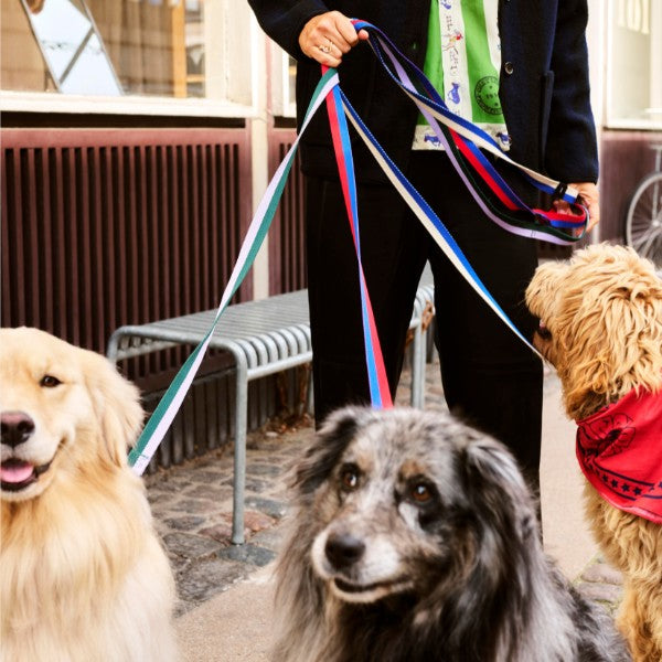 HAY Dogs Flat // Klassische Hundeleine aus recyceltem Nylon (blau/weiß)