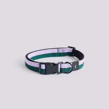 HAY Dogs Flat // Verstellbares Halsband aus weichem Nylon (Lavendel/Grün)