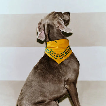 HAY Dogs Scarf // Hundehalstuch aus Baumwolle (gelb/grün)
