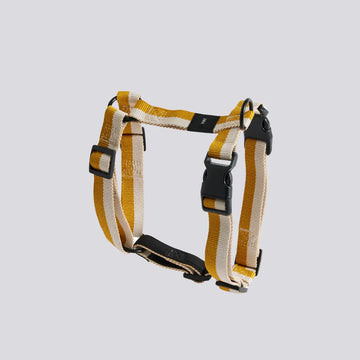 HAY Dogs Flat // Verstellbares Y-Geschirr aus recyceltem Nylon (gelb/creme)