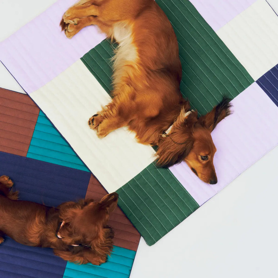 HAY Dogs Travel Blanket // Weiche Reisedecke für Hunde (bordeaux)