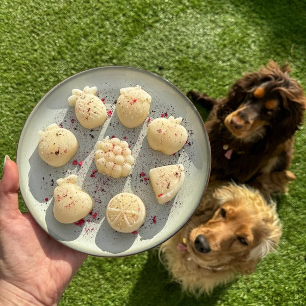 HOKUŌ™ Paw-Sicle Kit // Hundeeis zum Selbermachen mit Knochenbrühe (Rindfleisch)