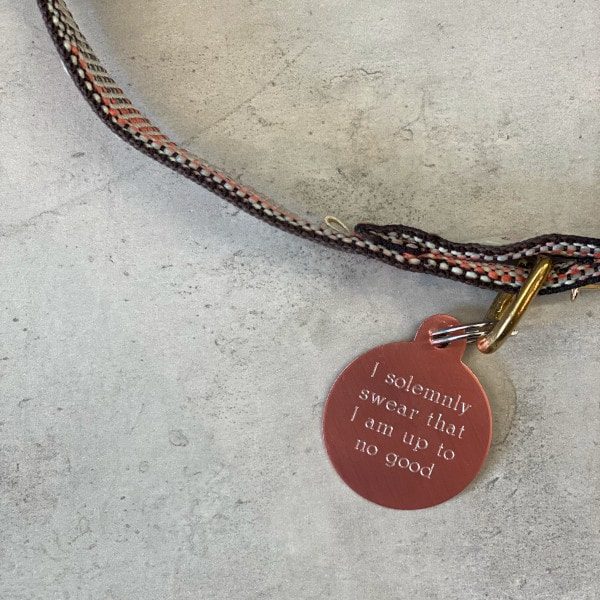 Hundemarke // Premium rund groß (Roségold)