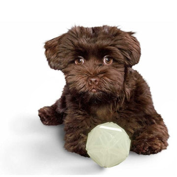 Kisa Ball //Leuchtender Hundeball, der schwimmen kann