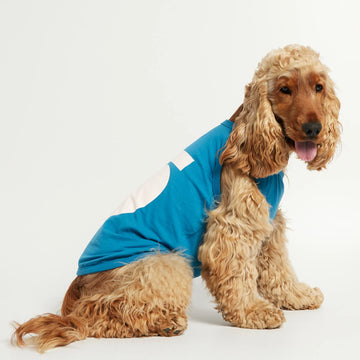 Imi Bodysuit // Hundepullover aus Bio-Baumwolle (blau)