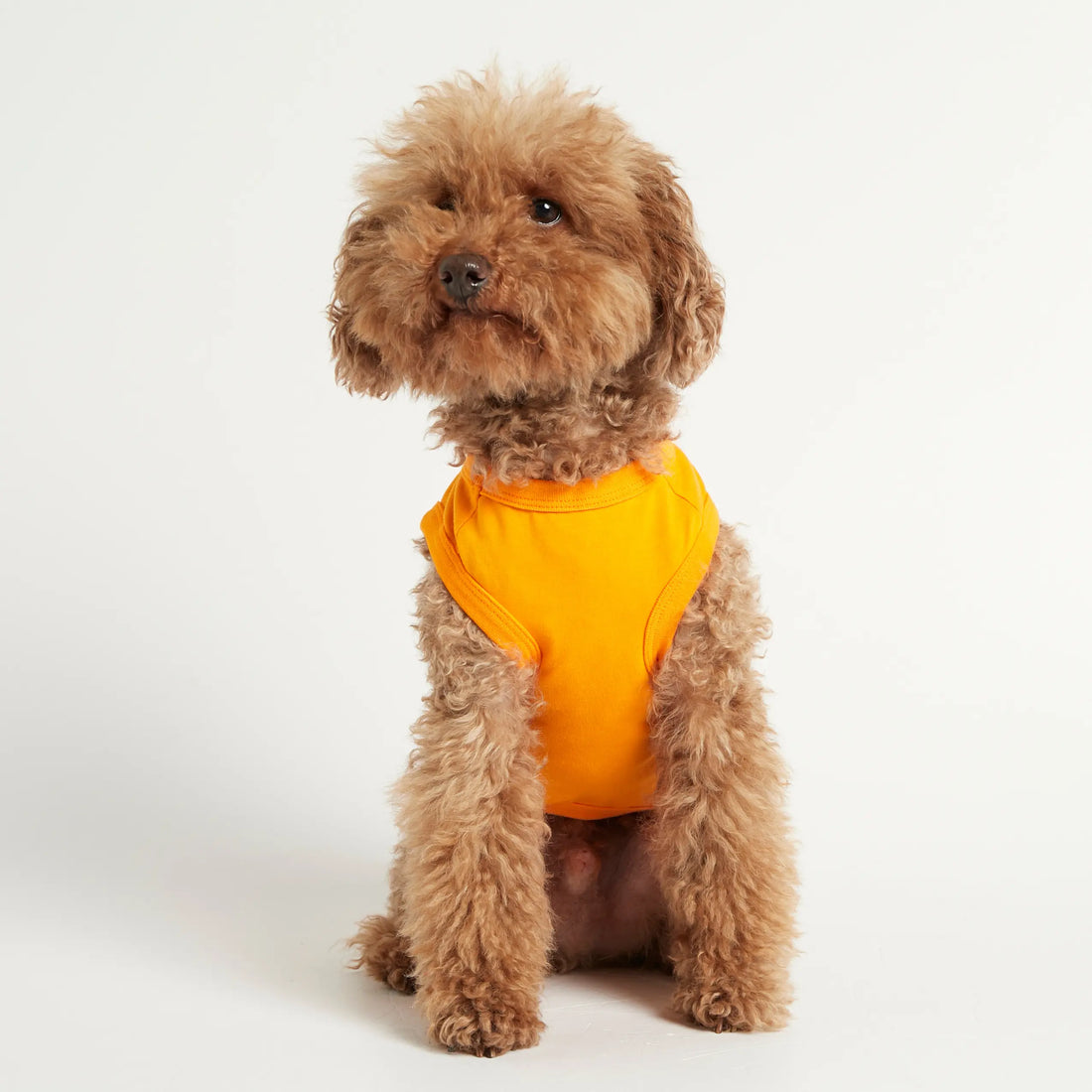 Imi Bodysuit // Hundepullover aus Bio-Baumwolle (orange)