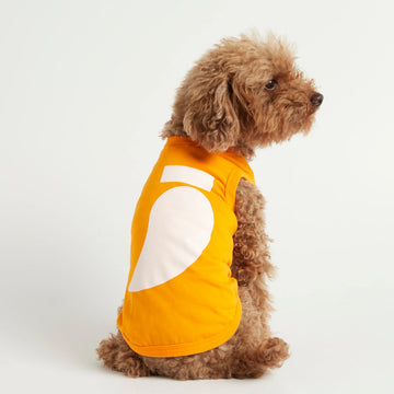 Imi Bodysuit // Hundepullover aus Bio-Baumwolle (orange)