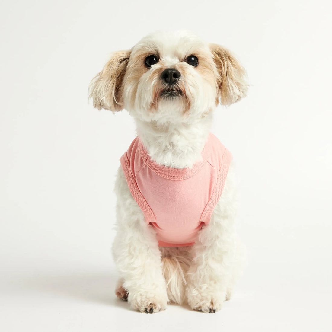 Imi Bodysuit // Hundepullover aus Bio-Baumwolle (pink)