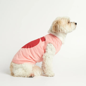 Imi Bodysuit // Hundepullover aus Bio-Baumwolle (pink)