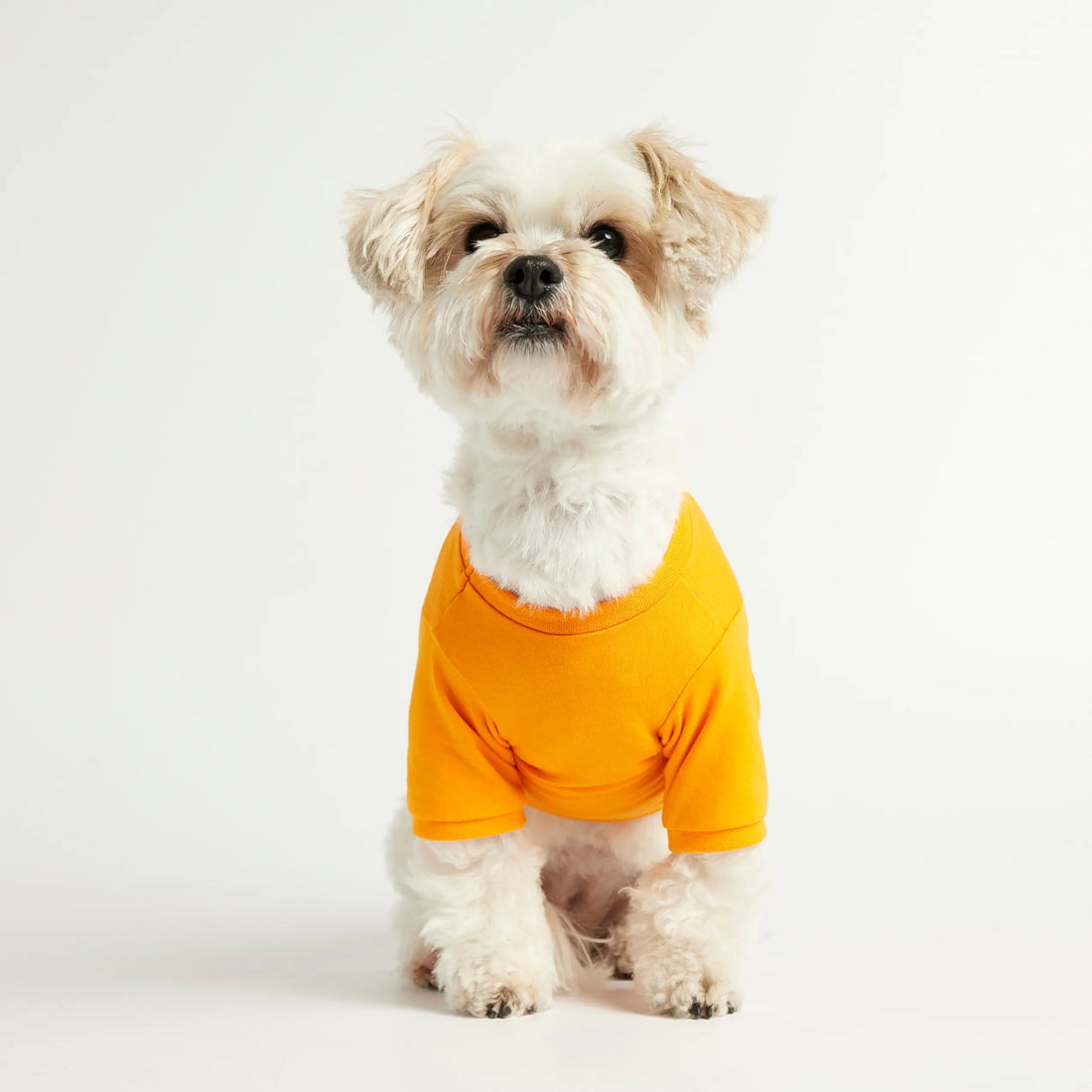 Imi T-Shirt // Hundeshirt mit Ärmeln aus Bio-Baumwolle (orange)