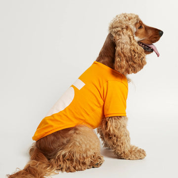 Imi T-Shirt // Hundeshirt mit Ärmeln aus Bio-Baumwolle (orange)
