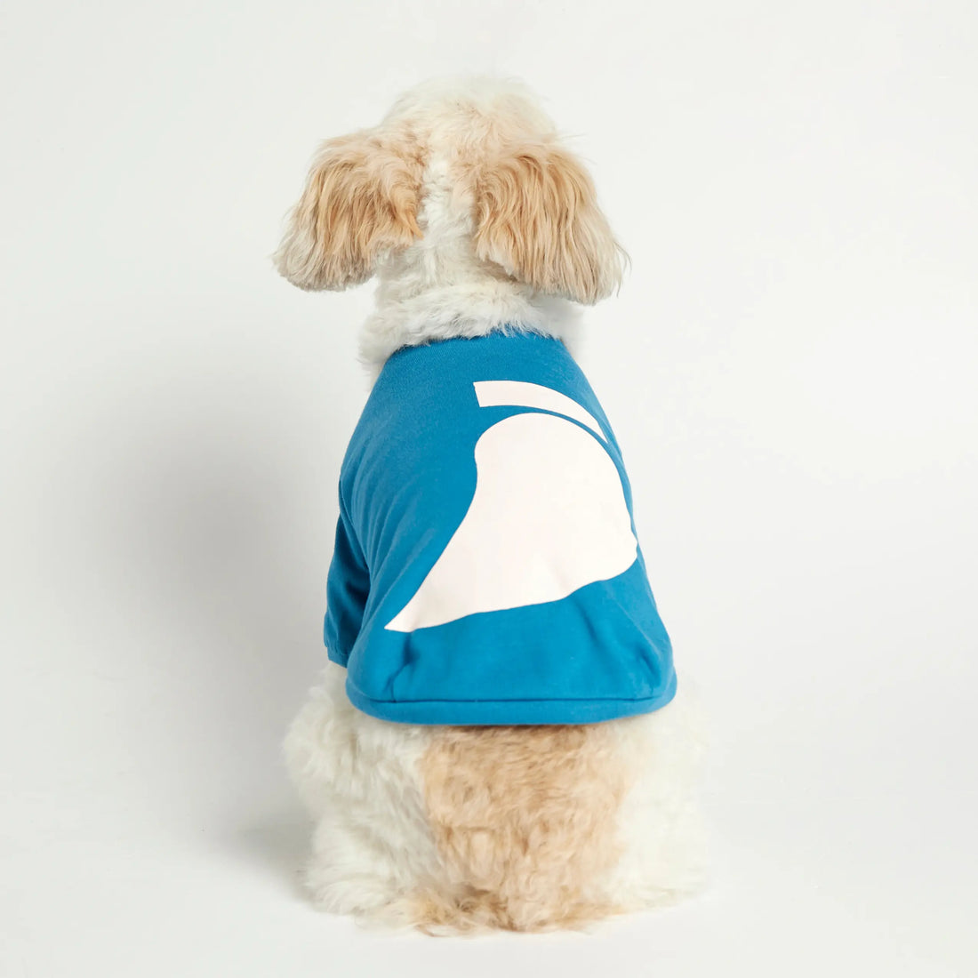 Imi T-Shirt // Hundeshirt mit Ärmeln aus Bio-Baumwolle (blau)
