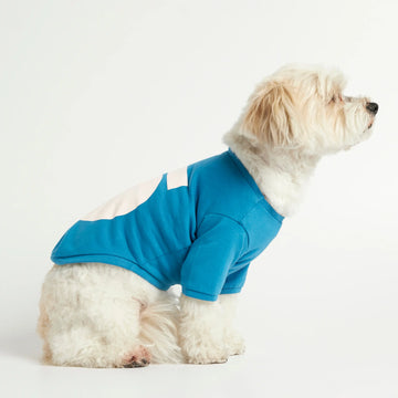 Imi T-Shirt // Hundeshirt mit Ärmeln aus Bio-Baumwolle (blau)