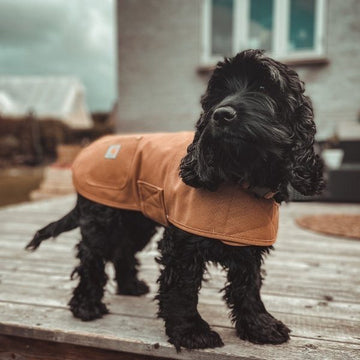 Carhartt Dog Jacket // Wasserabweisende Übergangsjacke (braun)