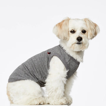 Josef Bodysuit // Hundepullover aus Bio-Baumwolle (grau) XS, S