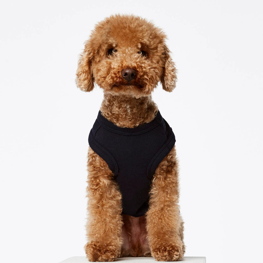 Josef Bodysuit // Hundepullover aus Bio-Baumwolle (Marine) XS und XL