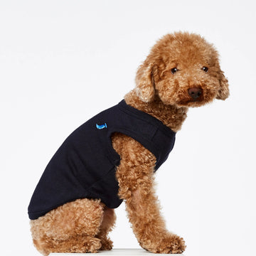 Josef Bodysuit // Hundepullover aus Bio-Baumwolle (Marine) XS und XL