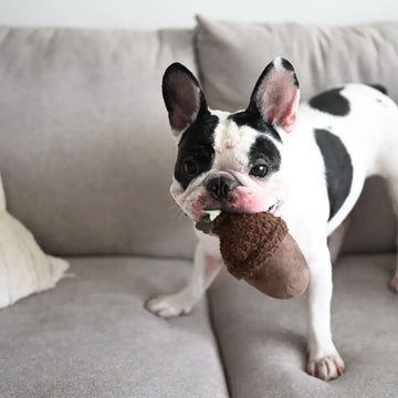Lambwolf Acorn // Hundespielzeug mit „Quietsch“