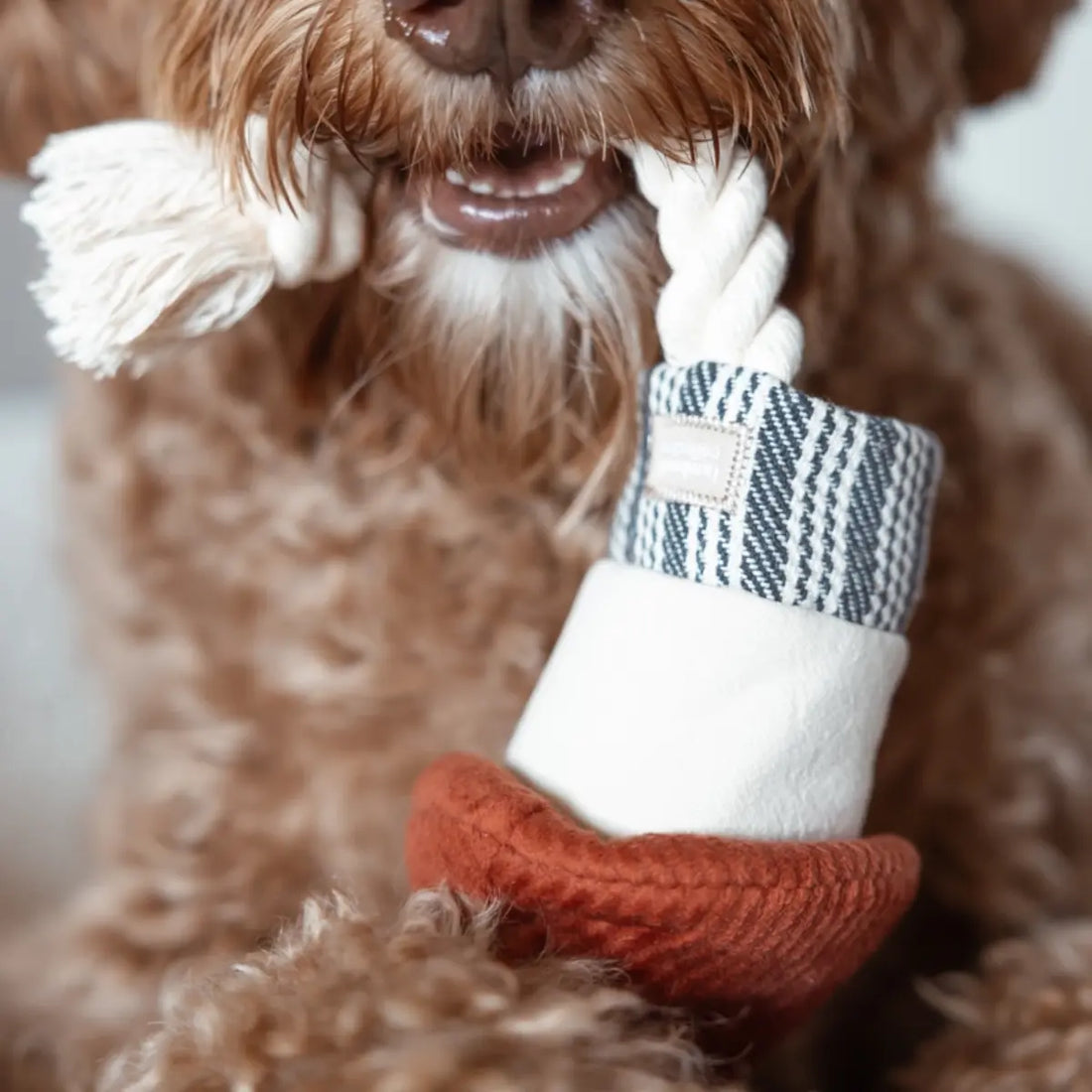 Lambwolf Rocket // Neujahrsspielzeug mit Bällen und Seil