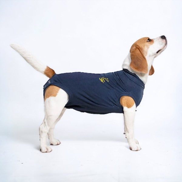 Medical Pet Shirt // Schutzoverall für Hunde (blau)