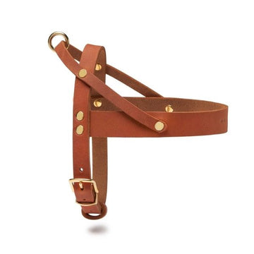 Butter Sahara // Klassisches Geschirr aus weichem Leder (Cognac)