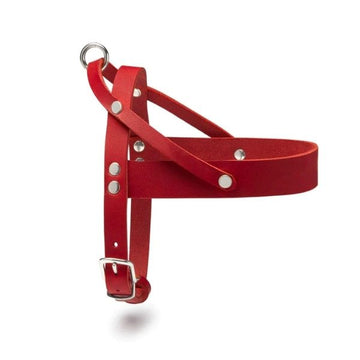 Butter Red // Klassisches Geschirr aus weichem Leder (rot)